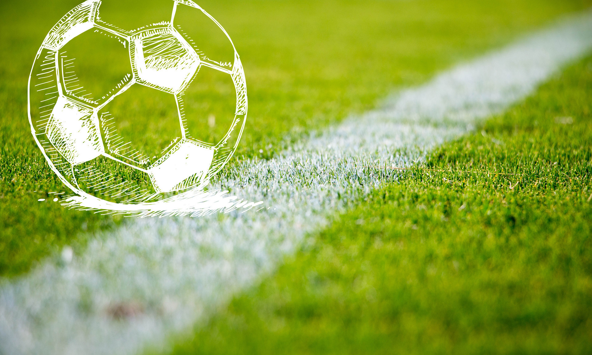 大藤沙月利 大藤沙月利