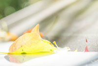 队逐渐稳定 队逐渐稳定