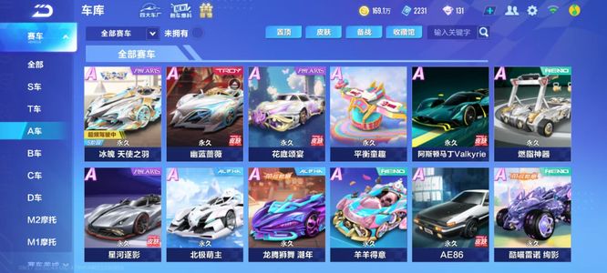 沙特队的比 沙特队的比