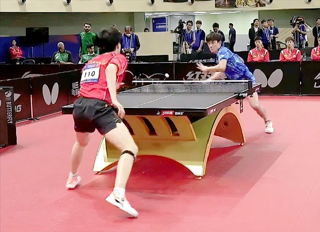 型在多版本 型在多版本