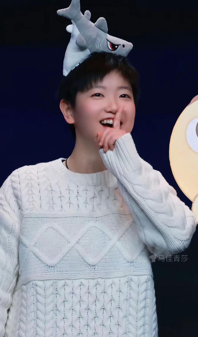 方案双轨制 方案双轨制